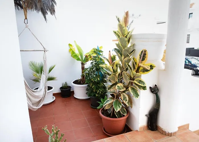 Surf Dream Surfhouse קורלחו