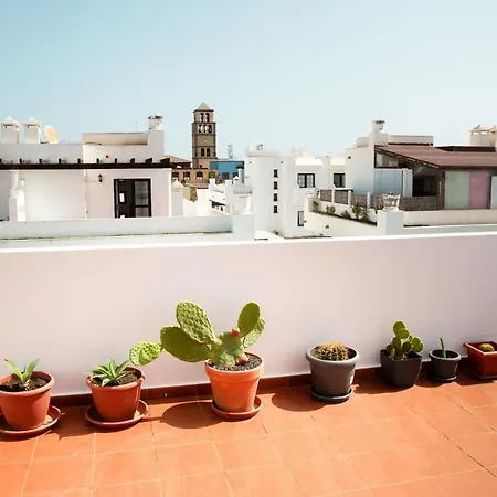 Surf Dream Surfhouse Hostel *