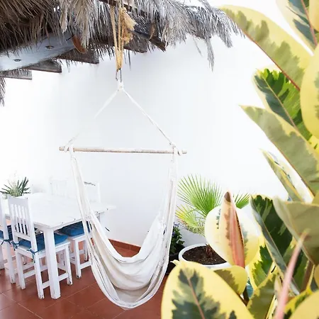 Surf Dream Surfhouse *