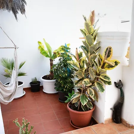 Surf Dream Surfhouse Corralejo