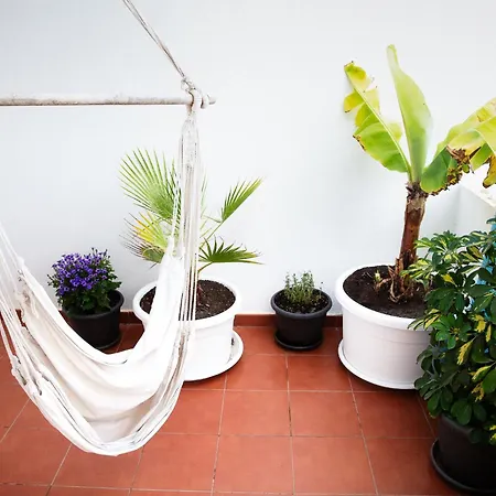 Surf Dream Surfhouse Hostel *