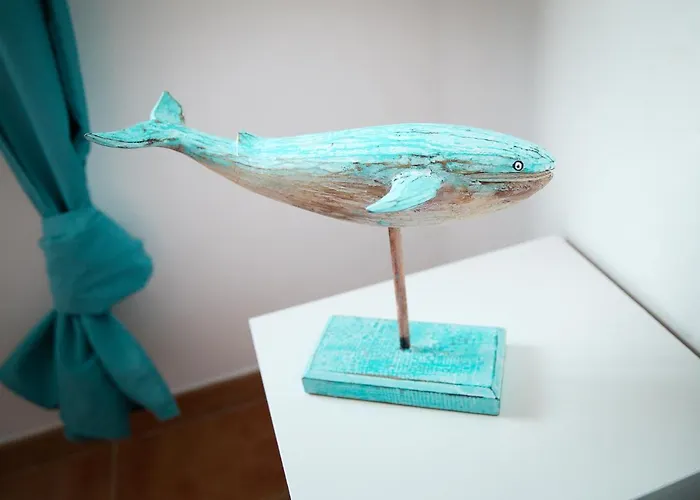 Surf Dream Surfhouse * 코라레호