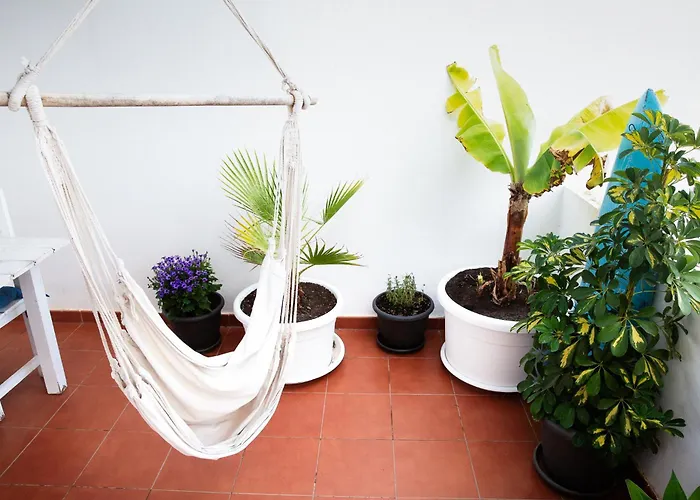 Surf Dream Surfhouse 호스텔 *