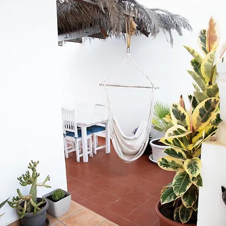 Surf Dream Surfhouse 科拉雷侯