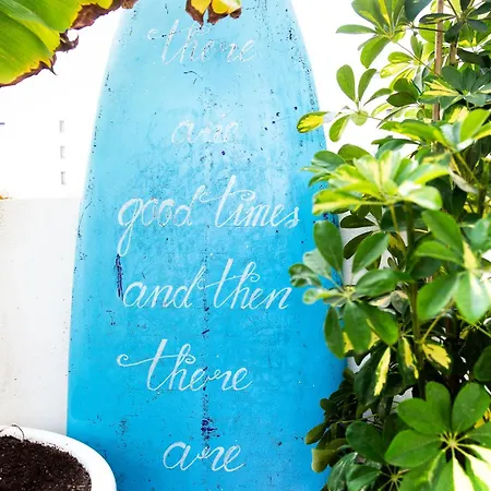 Surf Dream Surfhouse 旅馆